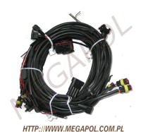 WTRYSKI AC - Stag 4 Plus / 4 cyl. -  - 1.Wtrysk STAG 4 Plus /Okablowanie