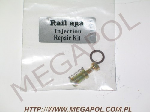 WTRYSKIWACZE - cześci zamienne -  -  Zestaw naprawczy listwy Valtek typ-30/Rail (H-26.4 mm/8mm)
