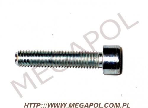 AKCESORIA - Śruby  -  - Śruba wielozaworu Tomasetto-01 / M5 x 30mm(długość całkowita)