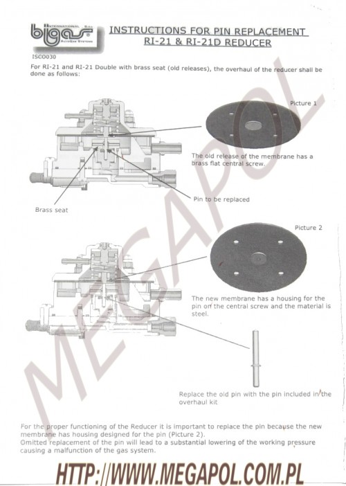 MEMBRANY REDUKTORA - Do sekwencji -  - Bigas RI 21 /zamiennik jak oryginał