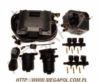 WTRYSKI Lovato - Easy Fast -  - Lovato Easy Fast C-OBDII 8cyl KP 120KW cod.604701272