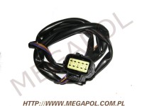 WTRYSKI MTM BRC - BRC 4 cylindry -  - Okablowanie wtryskiwaczy E06011602 BRC 2-cyl
