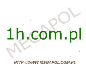 DOMENY - Krajowe - Domena - 1h.com.pl
