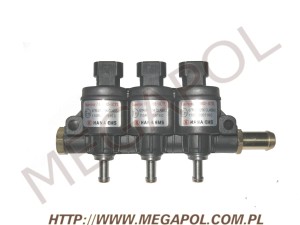 WTRYSKIWACZE - 3-cylindrowe - HANA 2002 EMS-Valtek/Europa-3cylindry