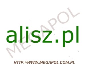 DOMENY - Krajowe - Domena - alisz.pl
