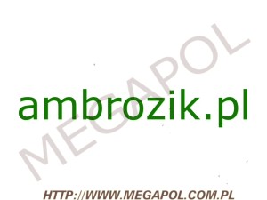 DOMENY - Krajowe - Domena - ambrozik.pl