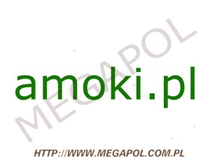 DOMENY - Krajowe - Domena - amoki.pl