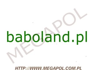 DOMENY - Krajowe - Domena - baboland.pl