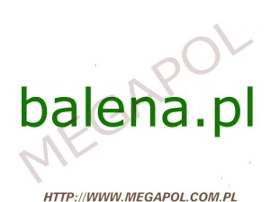 DOMENY - Krajowe - Domena - balena.pl