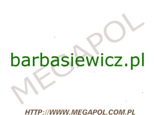 DOMENY - Krajowe - Domena - barbasiewicz.pl