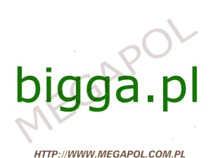 DOMENY - Krajowe - Domena - bigga.pl
