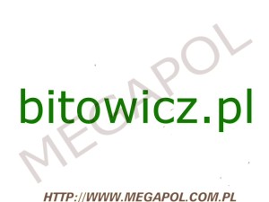 DOMENY - Krajowe - Domena - bitowicz.pl