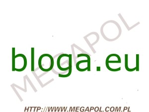 DOMENY - Krajowe - Domena - bloga.eu