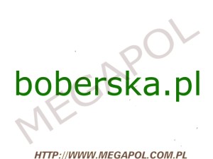 DOMENY - Krajowe - Domena - boberska.pl