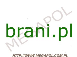DOMENY - Krajowe - Domena - brani.pl