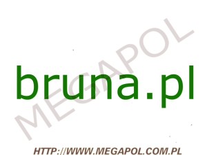 DOMENY - Krajowe - Domena - bruna.pl