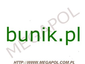 DOMENY - Krajowe - Domena - bunik.pl