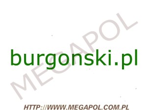 DOMENY - Krajowe - Domena - burgonski.pl