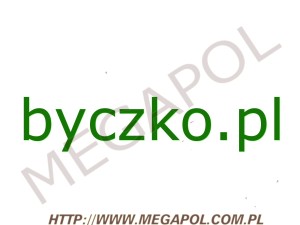 DOMENY - Krajowe - Domena - byczko.pl