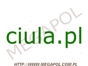 DOMENY - Krajowe - Domena - ciula.pl