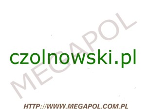 DOMENY - Krajowe - Domena - czolnowski.pl
