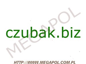 DOMENY - Krajowe - Domena - czubak.biz