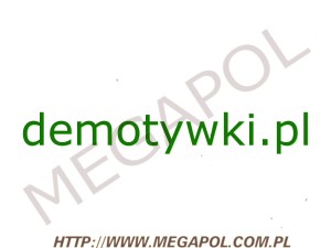 DOMENY - Krajowe - Domena - demotywki.pl