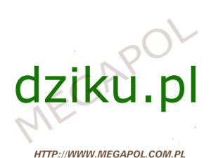 DOMENY - Krajowe - Domena - dziku.pl