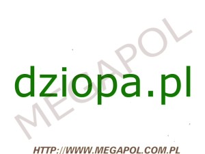 DOMENY - Krajowe - Domena - dziopa.pl
