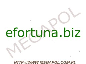DOMENY - Krajowe - Domena - efortuna.biz