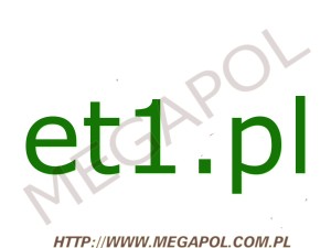 DOMENY - Krajowe - Domena - et1.pl
