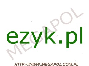 DOMENY - Krajowe - Domena - ezyk.pl