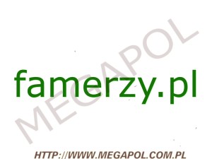 DOMENY - Krajowe - Domena - famerzy.pl