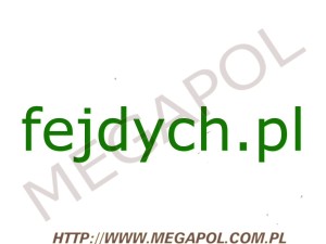DOMENY - Krajowe - Domena - fejdych.pl