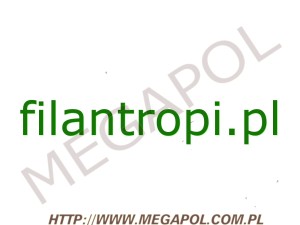 DOMENY - Krajowe - Domena - filantropi.pl