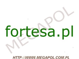 DOMENY - Krajowe - Domena - fortesa.pl