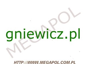 DOMENY - Krajowe - Domena - gniewicz.pl