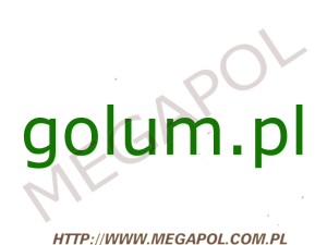 DOMENY - Krajowe - Domena - golum.pl