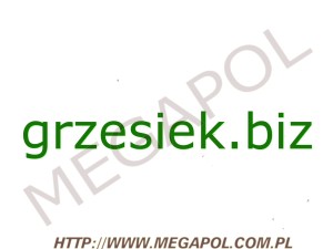 DOMENY - Krajowe - Domena - grzesiek.biz