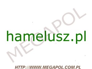 DOMENY - Krajowe - Domena - hamelusz.pl