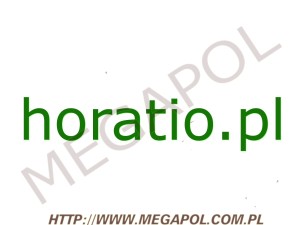 DOMENY - Krajowe - Domena - horatio.pl