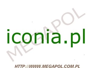 DOMENY - Krajowe - Domena - iconia.pl