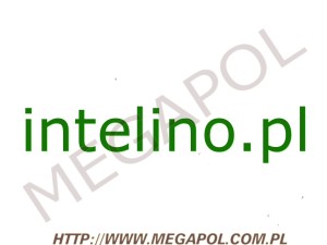 DOMENY - Krajowe - Domena - intelino.pl