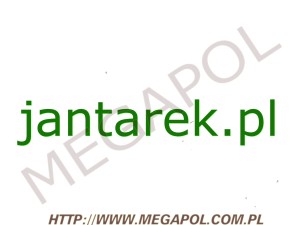 DOMENY - Krajowe - Domena - jantarek.pl