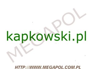 DOMENY - Krajowe - Domena - kapkowski.pl