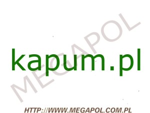 DOMENY - Krajowe - Domena - kapum.pl