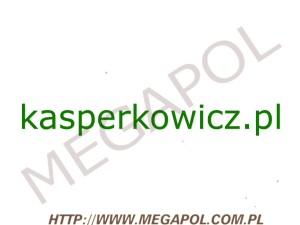 DOMENY - Krajowe - Domena - kasperkowicz.pl