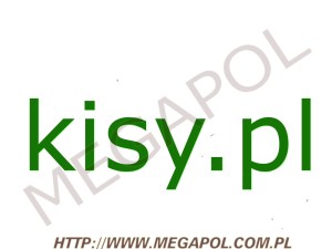 DOMENY - Krajowe - Domena - kisy.pl
