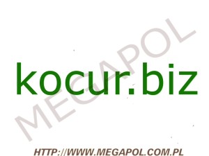 DOMENY - Krajowe - Domena - kocur.biz