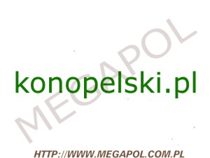 DOMENY - Krajowe - Domena - konopelski.pl